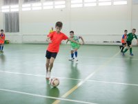 IMG_1193